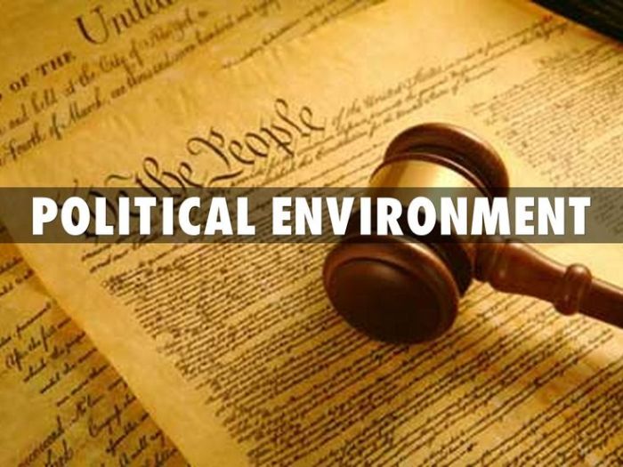 Political influence on business environment
