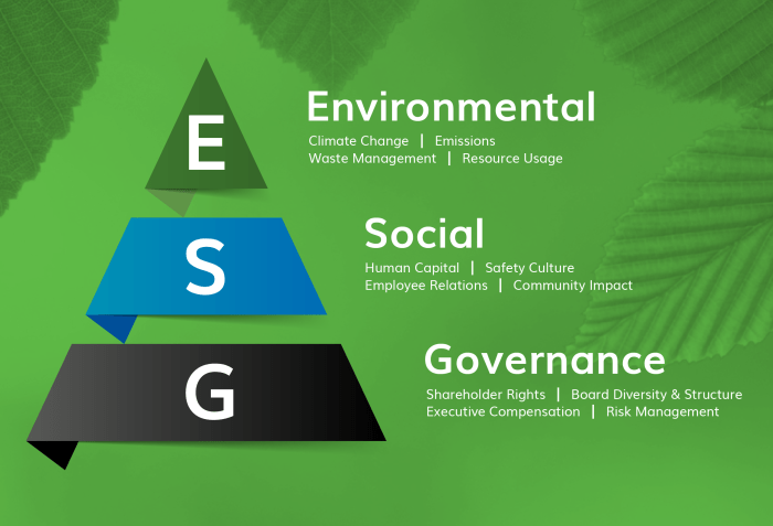Business environment risk management