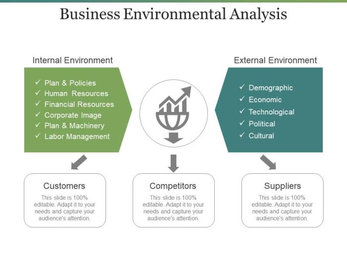 Business environment analysis tools