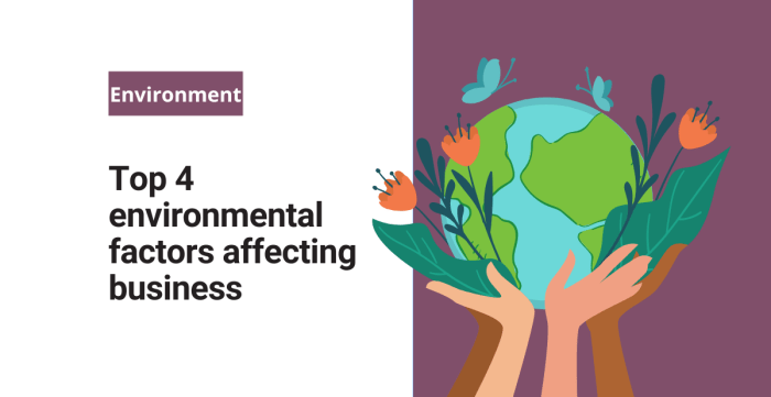 Internal factors external environmental environments definition meaning company business marketing components market success Internal factors external environmental environments definition meaning company business marketing components market success