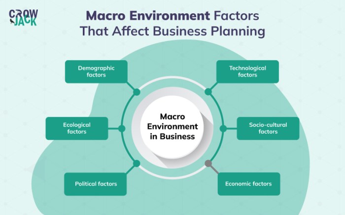 Social factors in business environment