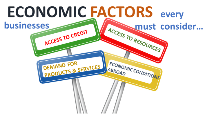 Economic factors affecting business environment